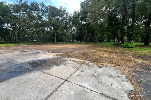 Terreno en venta en Ocala, Florida № 1373528 - foto 5