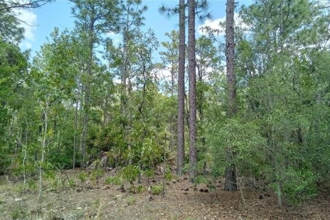 Land in Ocala, Florida № 1413396 - photo 2