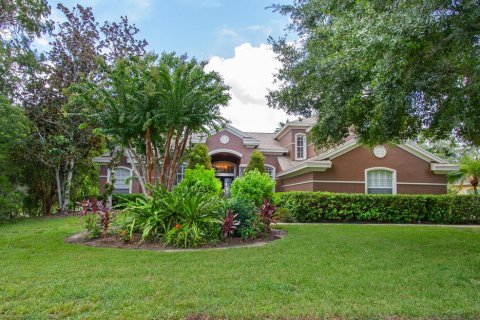 House in Tarpon Springs, Florida 5 bedrooms, 369.01 sq.m. № 1344564 - photo 6