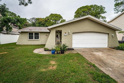 Villa ou maison à vendre à Tarpon Springs, Floride: 3 chambres, 166.95 m2 № 1344563 - photo 1