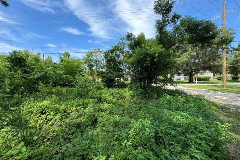 Land in Tampa, Florida № 1370086 - photo 28