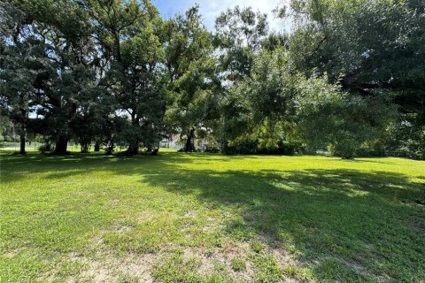 Land in Tampa, Florida № 1370086 - photo 17