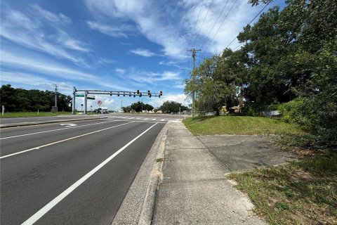 Land in Tampa, Florida № 1370086 - photo 5