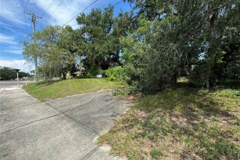 Terrain à vendre à Tampa, Floride № 1370086 - photo 4