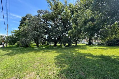 Terreno en venta en Tampa, Florida № 1370086 - foto 15