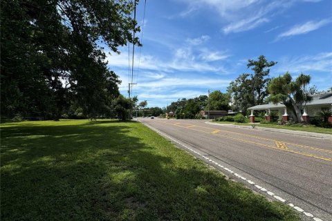 Land in Tampa, Florida № 1370086 - photo 21