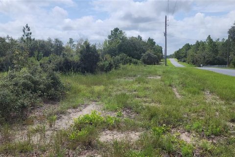 Terrain à vendre à Dunnellon, Floride № 1356276 - photo 3