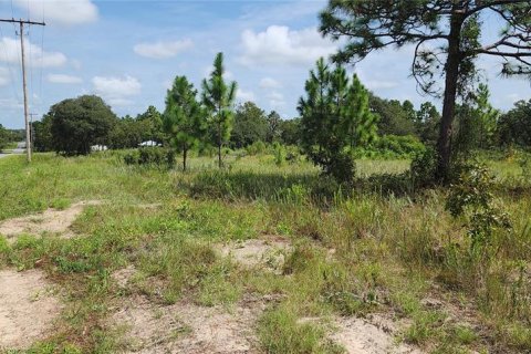 Terrain à vendre à Dunnellon, Floride № 1356276 - photo 2