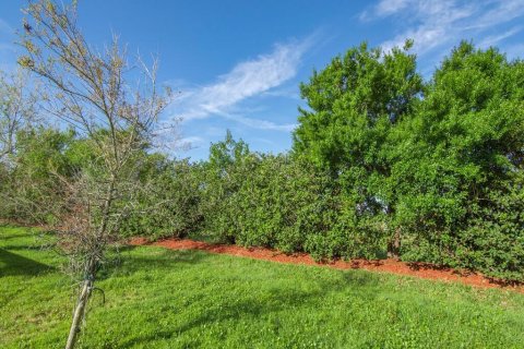 Villa ou maison à vendre à Vero Beach, Floride: 3 chambres, 204.94 m2 № 1068344 - photo 17