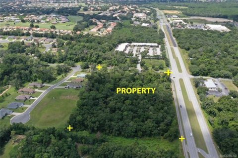 Terreno en venta en Hernando, Florida № 1341097 - foto 4