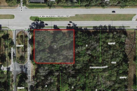 Terreno en venta en Hernando, Florida № 1341097 - foto 5