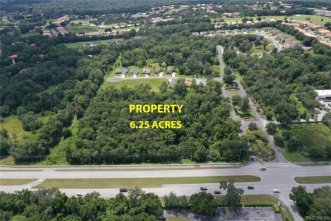 Terreno en venta en Hernando, Florida № 1341097 - foto 3