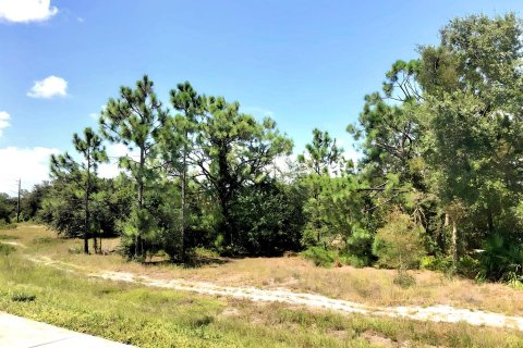 Land in Lehigh Acres, Florida № 1040957 - photo 3