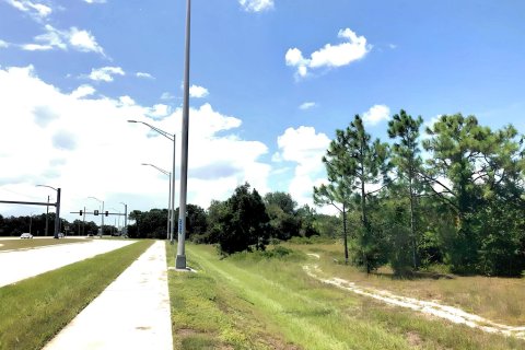 Купить земельный участок в Лихай-Эйкерс, Флорида № 1040957 - фото 6