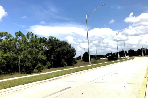 Купить земельный участок в Лихай-Эйкерс, Флорида № 1040957 - фото 5