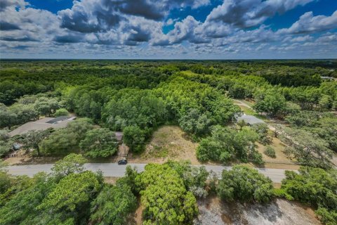 Land in New Port Richey, Florida № 1246401 - photo 3