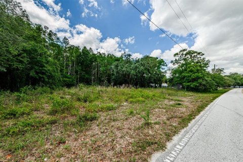 Land in New Port Richey, Florida № 1246401 - photo 16