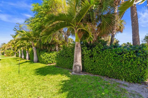 Land in Jupiter Inlet Colony, Florida № 1065683 - photo 13