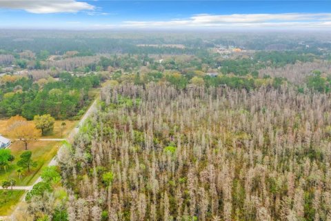 Land in Zephyrhills, Florida № 1046492 - photo 19