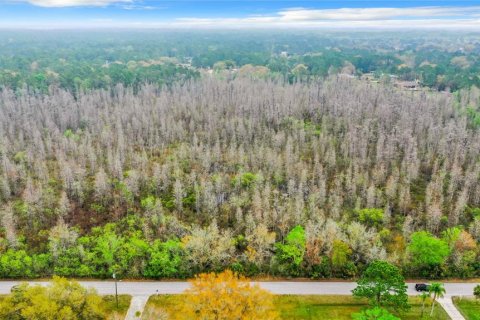 Land in Zephyrhills, Florida № 1046492 - photo 5