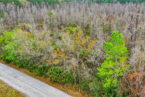 Land in Zephyrhills, Florida № 1046492 - photo 6