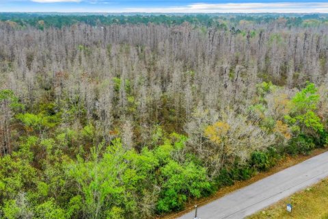 Land in Zephyrhills, Florida № 1046492 - photo 9