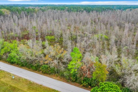 Land in Zephyrhills, Florida № 1046492 - photo 10