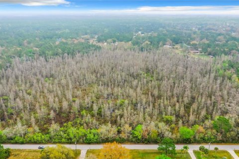 Land in Zephyrhills, Florida № 1046492 - photo 12