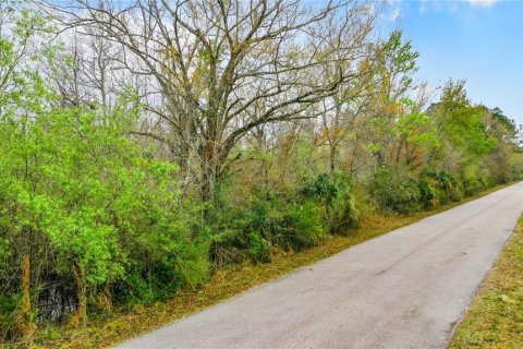 Land in Zephyrhills, Florida № 1046492 - photo 8