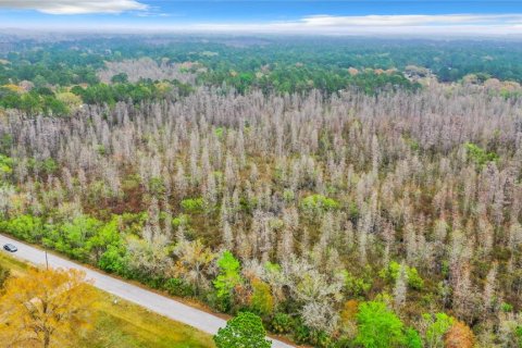 Land in Zephyrhills, Florida № 1046492 - photo 11