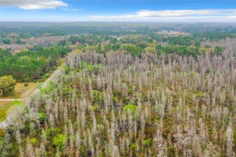 Land in Zephyrhills, Florida № 1046492 - photo 18