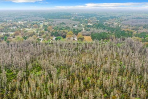 Land in Zephyrhills, Florida № 1046492 - photo 22