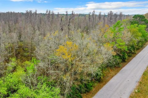 Land in Zephyrhills, Florida № 1046492 - photo 7