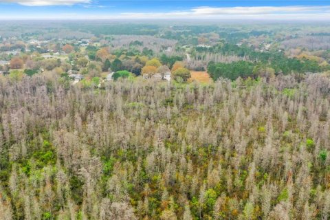 Land in Zephyrhills, Florida № 1046492 - photo 21