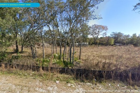 Commercial property in Hudson, Florida 557.41 sq.m. № 1205311 - photo 11