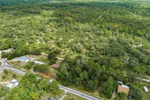 Land in Weeki Wachee, Florida № 1358031 - photo 16