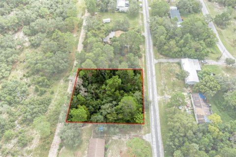 Terreno en venta en Weeki Wachee, Florida № 1358031 - foto 19