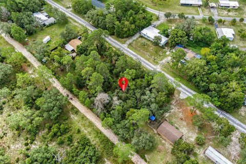 Land in Weeki Wachee, Florida № 1358031 - photo 21