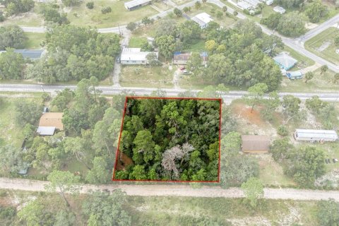 Terreno en venta en Weeki Wachee, Florida № 1358031 - foto 23