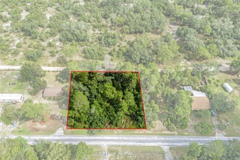 Terreno en venta en Weeki Wachee, Florida № 1358031 - foto 11