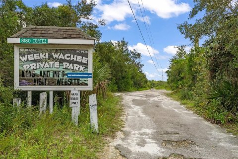 Land in Weeki Wachee, Florida № 1358031 - photo 2