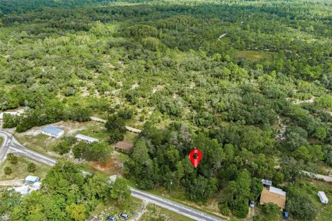 Land in Weeki Wachee, Florida № 1358031 - photo 15