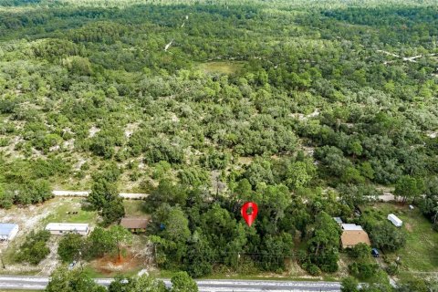 Land in Weeki Wachee, Florida № 1358031 - photo 13