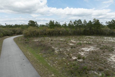 Terrain à vendre à Ocala, Floride № 1369844 - photo 5