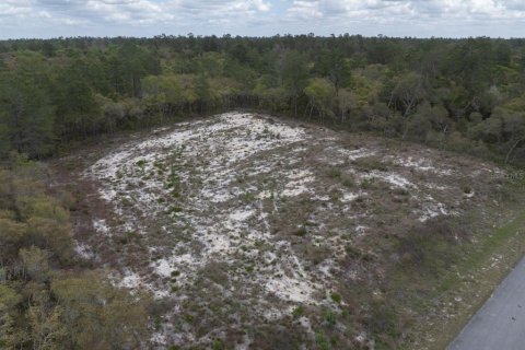 Terrain à vendre à Ocala, Floride № 1369844 - photo 4