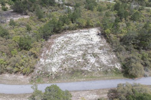 Terrain à vendre à Ocala, Floride № 1369844 - photo 1