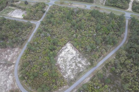 Terrain à vendre à Ocala, Floride № 1369844 - photo 2