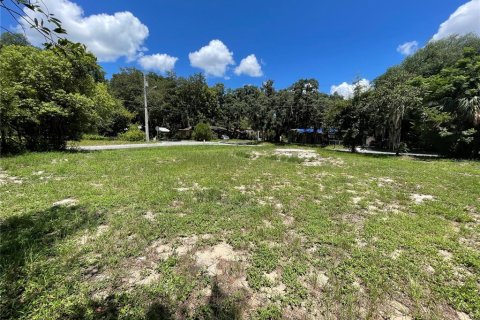 Land in Mount Dora, Florida № 1300902 - photo 4