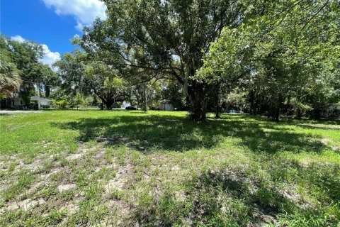 Terrain à vendre à Mount Dora, Floride № 1300902 - photo 3