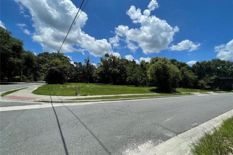 Terreno en venta en Mount Dora, Florida № 1300902 - foto 2